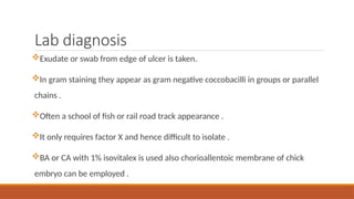 Lab diagnosis
Exudate or swab from edge of ulcer is taken.
In gram staining they appear as gram negative coccobacilli in groups or parallel
chains .
Often a school of fish or rail road track appearance .
It only requires factor X and hence difficult to isolate .
BA or CA with 1% isovitalex is used also chorioallentoic membrane of chick
embryo can be employed .
 
