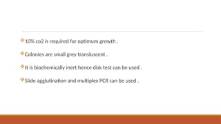 10% co2 is required for optimum growth .
Colonies are small grey transluscent .
It is biochemically inert hence disk test can be used .
Slide agglutination and multiplex PCR can be used .
 