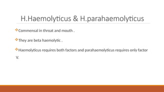 H.Haemolyticus & H.parahaemolyticus
Commensal in throat and mouth .
They are beta haemolytic .
Haemolyticus requires both factors and parahaemolyticus requires only factor
V.
 
