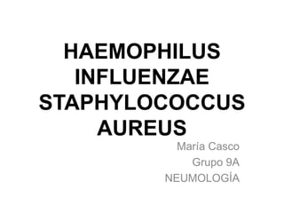 HAEMOPHILUS
INFLUENZAE
STAPHYLOCOCCUS
AUREUS
María Casco
Grupo 9A
NEUMOLOGÍA
 