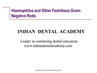 Haemophilus and Other Fastidious GramNegative Rods

INDIAN DENTAL ACADEMY
Leader in continuing dental education
www.indiandentalacademy.com

www.indiandentalacademy.com

 
