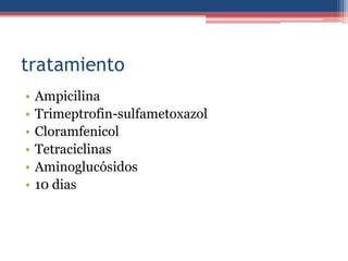 tratamiento
•
•
•
•
•
•

Ampicilina
Trimeptrofin-sulfametoxazol
Cloramfenicol
Tetraciclinas
Aminoglucósidos
10 dias

 