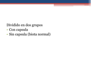 Dividido en dos grupos
• Con capsula
• Sin capsula (biota normal)

 