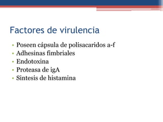 Factores de virulencia
•
•
•
•
•

Poseen cápsula de polisacaridos a-f
Adhesinas fimbriales
Endotoxina
Proteasa de igA
Sintesis de histamina

 