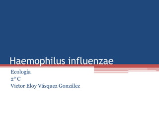 Haemophilus influenzae
Ecología
2° C
Victor Eloy Vásquez González

 
