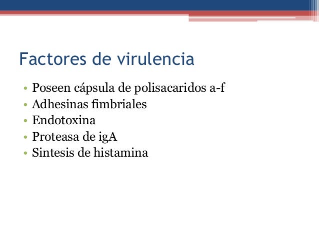 Haemophilus influenzae