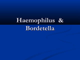 Haemophilus &Haemophilus &
BordetellaBordetella
 