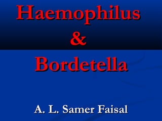 HaemophilusHaemophilus
&&
BordetellaBordetella
A. L. Samer FaisalA. L. Samer Faisal
 