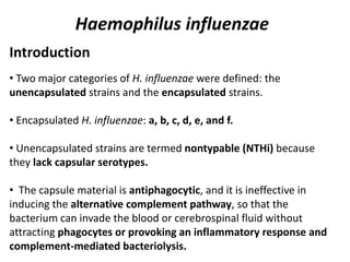 Haemophilus influenzae
Introduction
• Two major categories of H. influenzae were defined: the
unencapsulated strains and the encapsulated strains.
• Encapsulated H. influenzae: a, b, c, d, e, and f.
• Unencapsulated strains are termed nontypable (NTHi) because
they lack capsular serotypes.
• The capsule material is antiphagocytic, and it is ineffective in
inducing the alternative complement pathway, so that the
bacterium can invade the blood or cerebrospinal fluid without
attracting phagocytes or provoking an inflammatory response and
complement-mediated bacteriolysis.
 