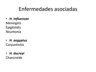 Enfermedades asociadas
• H. Influenzae
Meningitis
Epiglotidis
Neumonía
• H. aegyptus
Conjuntivitis
• H. ducreyi
Chancroide
 