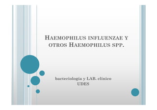 HAEMOPHILUS INFLUENZAE Y
 OTROS HAEMOPHILUS SPP.




   bacteriología y LAB. clínico
              UDES
 