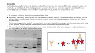 DIAGNOSIS
Isolated exclusively from humans. No other natural host is known. It is recovered from the respiratory tract and
rarely, the genital tract. H. Influenza diagnosis is considered confirmed when the organism is isolated from a
sterile body site, sterile sites considered are cerebrospinal fluid, blood and concentrated urine.
 By microscopy, H. influenza isolated from cerebrospinal fluid or blood.
 The bacterial culture grows well on chocolate agar with added factor X (hemin) and factor V (nicotinamide adenine dinucleotide) at 37° C in
a Carbon dioxide enriched incubator. The cultured organism can be further characterized using catalase and oxidase tests, both of which
should be positive.
 The latex particle agglutination test (LAT). It is more sensitive than a culture. Method relies on antigen rather than viable bacteria, this being
of great benefit as antibody use prior to sample collection kills the bacteria before identification is possible.
 Polymerase chain reaction assays have been proven to be more sensitive than either LAT or culture tests, and are highly specific. However
PCR assays have not yet become routine in clinical settings.
 