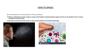 HOW ITS SPREAD
 The Hib bacterium is commonly present in the nose and throat.
 When an infected person talks, coughs or sneezes small droplets containing infectious agents into the air. The droplets in the air may be
breathed in by those nearby.
 By indirect contact with hands, tissues or other articles soiled by nose and throat discharges.
 