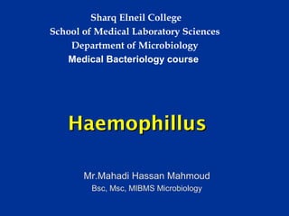  Sharq Elneil College
School of Medical Laboratory Sciences
    Department of Microbiology
   Medical Bacteriology course




   Haemophillus

       Mr.Mahadi Hassan Mahmoud
         Bsc, Msc, MIBMS Microbiology
 