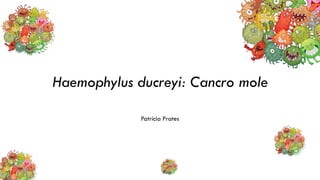 Haemophylus ducreyi: Cancro mole
Patrícia Prates
 