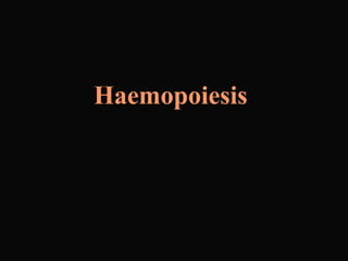 Haemopoiesis
 