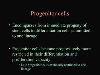 Progenitor cells
• Encompasses from immediate progeny of
stem cells to differentiation cells committed
to one lineage
• Progenitor cells become progressively more
restricted in their differentiation and
proliferation capacity
• Late progenitor cells eventually restricted to one
lineage
 