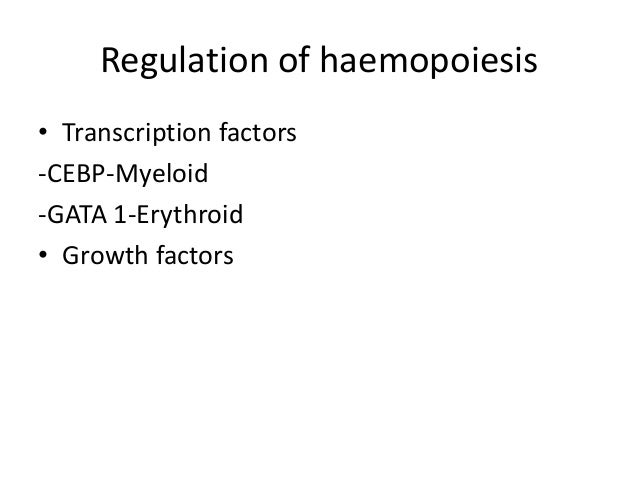 regulation of human haematopoietic stem cell self renewal Hematopoietic stem cells (hscs) • transcriptional regulation • self-renewal • cell cycle a bstract the hematopoietically expressed homeobox transcription factor (hhex) is important for the mat. regulation of human haematopoietic stem cell self renewal Hematopoietic stem cells (hscs) • transcriptional regulation • self-renewal • cell cycle a bstract the hematopoietically expressed homeobox transcription factor (hhex) is important for the mat.