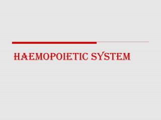 HAEMOPOIETIC SYSTEM
 