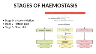 STAGES OF HAEMOSTASIS
• Stage 1- Vasoconstriction
• Stage 2- Platelet plug
• Stage 3- Blood clot
 