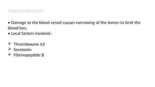 Vasoconstriction
• Damage to the blood vessel causes narrowing of the lumen to limit the
blood loss.
• Local factors involved :
 Thromboxane A2
 Serotonin
 Fibrinopeptide B
 