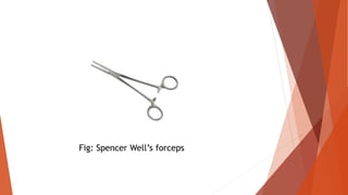 Fig: Spencer Well’s forceps
 