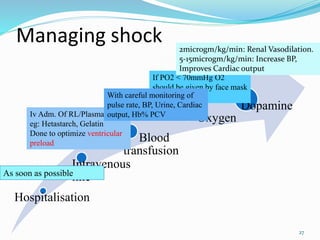 Managing shock
Hospitalisation
Intravenous
line
Blood
transfusion
Oxygen
Dopamine
As soon as possible
Iv Adm. Of RL/Plasma
eg: Hetastarch, Gelatin
Done to optimize ventricular
preload
If PO2 < 70mmHg O2
should be given by face mask
or nasal catheter.With careful monitoring of
pulse rate, BP, Urine, Cardiac
output, Hb% PCV
2microgm/kg/min: Renal Vasodilation.
5-15microgm/kg/min: Increase BP,
Improves Cardiac output
27
 