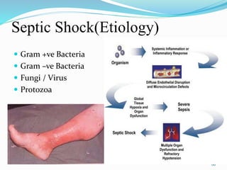 Septic Shock(Etiology)
 Gram +ve Bacteria
 Gram –ve Bacteria
 Fungi / Virus
 Protozoa
66
 