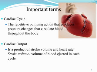 Important terms
 Cardiac Cycle
 The repetitive pumping action that produces
pressure changes that circulate blood
throughout the body
 Cardiac Output
 Is a product of stroke volume and heart rate.
Stroke volume- volume of blood ejected in each
cycle
7
 