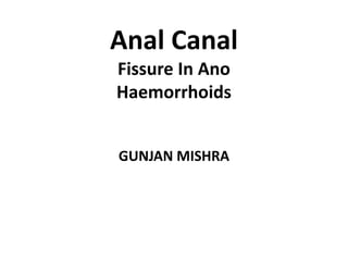 Anal Canal
Fissure In Ano
Haemorrhoids
GUNJAN MISHRA
 