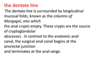 the dentate line
The dentate line is surrounded by longitudinal
mucosal folds, known as the columns of
Morgagni, into which
the anal crypts empty. These crypts are the source
of cryptoglandular
abscesses . In contrast to the anatomic anal
canal, the surgical anal canal begins at the
anorectal junction
and terminates at the anal verge.
 