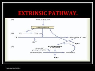 HAEMOSTASIS COAGULATION OF BLOOD | PPT