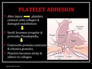HAEMOSTASIS COAGULATION OF BLOOD | PPT