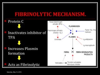 FIBRINOLYTIC MECHANISM.
 Protein C
 Inactivates inhibitor of
TPA
 Increases Plasmin
formation
 Acts as Fibrinolytic
Sa...
