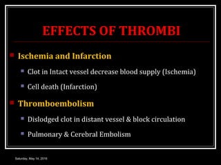 EFFECTS OF THROMBI
 Ischemia and Infarction
 Clot in Intact vessel decrease blood supply (Ischemia)
 Cell death (Infarc...