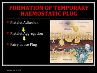 FORMATION OF TEMPORARY
HAEMOSTATIC PLUG
 Platelet Adhesion
 Platelet Aggregation
 Fairy Loose Plug
Saturday, May 14, 20...
