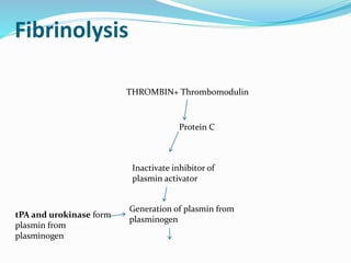 Fibrinolysis
THROMBIN+ Thrombomodulin
Protein C
Inactivate inhibitor of
plasmin activator
Generation of plasmin from
plasminogen
tPA and urokinase form
plasmin from
plasminogen
 