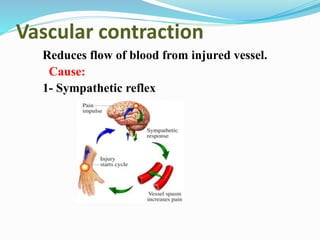 Vascular contraction
Reduces flow of blood from injured vessel.
Cause:
1- Sympathetic reflex
 