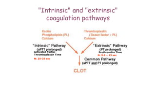 "Intrinsic" and "extrinsic"
coagulation pathways
N: 9.9 – 13 sec
Activated Partial
Thromboplastin Time
N: 25-35 sec
Prothrombin Time
 