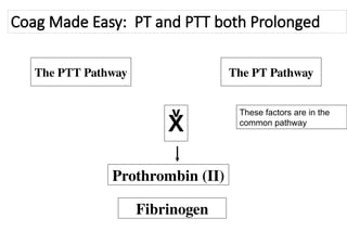 Prolonged Pt Algorithm HAEMOSTASIS, circulatory system. Involves the arrest of bleeding. | PPTX