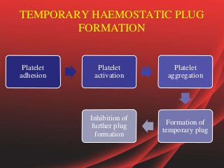 TEMPORARY HAEMOSTATIC PLUG
FORMATION
Platelet
adhesion
Platelet
activation
Platelet
aggregation
Formation of
temporary plug
Inhibition of
further plug
formation
 