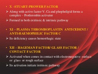 • X –STUART-PROWER FACTOR
 Along with active factor V, Ca and phopholipid forms a
complex – Prothrombin activator
 Formed in both extrinsic & intrinsic pathway
• XI – PLASMA THROMBOPLASTIN ANTICEDENT /
ANTI-HAEMOPHILIC FACTOR C
 Its deficiency causes hemorrhagic state
• XII – HAGEMAN FACTOR/ GLASS FACTOR /
CONTACT FACTOR
 Activated when comes in contact with electronegative surface
or glass or rough surface
 Its activation initiate intrinsic pathway
 