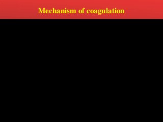 Mechanism of coagulation
 