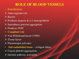 ROLE OF BLOOD VESSELS
• Endothelium
 Anticoagulant role
 Barrier
 Produces heparin & α-2 macroglobulin
 Smoothness prevent aggregation
 Produces PGI2
• Coagulant role
 Von Willebrand factor (VWF)
 Tissue factor
 Plasminogen activator
• Sub endothelial tissue – collagen fibres
 Causes platelet aggregation
 Intrinsic pathway activation
 