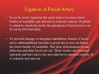 Ligation of Facial Artery
• It can be easily ligated at the point where it crosses lower
border of mandible just anterior to masseter muscle. If patient
is asked to clench the teeth, the pulsations of facial artery can
be easily felt externally
• To prevent damage to marginal mandibular branch of facial
nerve submandibular incision is given one to two cm below
the lower border of mandible. The skin, subcutaneous tissue,
platysma and deep fascia are cut. These tissues are retracted
upwards and here artery lies just anterior to masseter muscle. It
is isolated, tied and cut
 