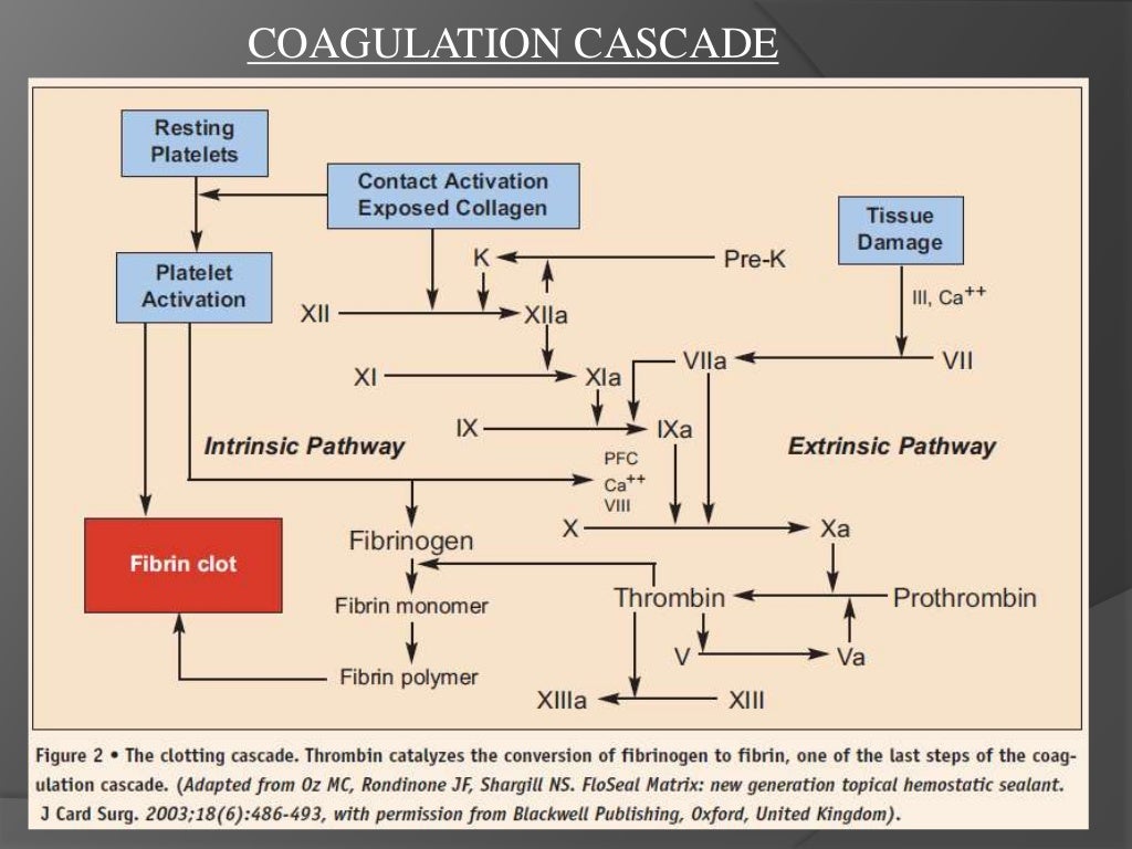 Haemostatic agent used in dentistry to control bleeding