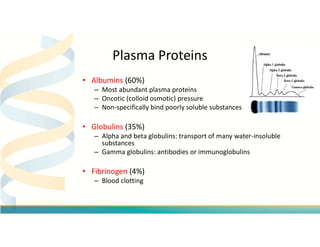 • Albumins (60%)
– Most abundant plasma proteins
– Oncotic (colloid osmotic) pressure
– Non-specifically bind poorly solub...