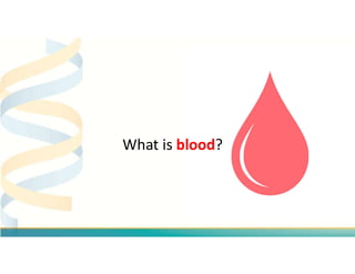What is blood?
 