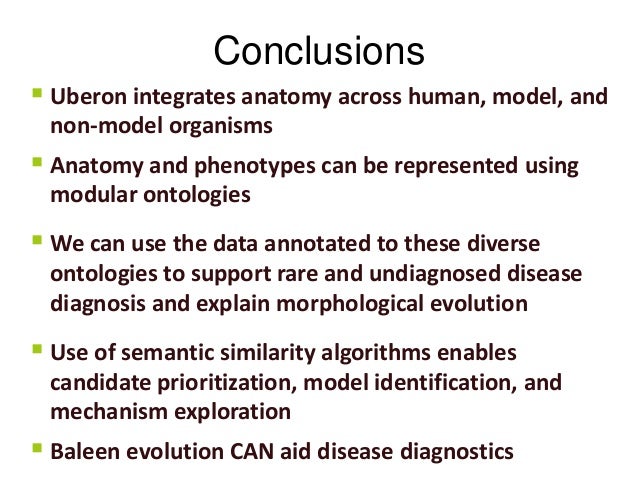 data exploration semantic to ontological From baleen palate: exploration van cleft data exploration semantic to ontological From baleen palate: exploration van cleft