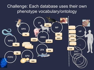Challenge: Each database uses their own
phenotype vocabulary/ontology
ZFA
MP
DPO
WPO
HP
OMIA
VT
FYPO
APO
SNO
MED
…
…
…
WB
PB
FB
OMIA
MGI
RGD
ZFIN
SGD
HPOA
EHR
IMPC
OMIM
…
QTLdb
 
